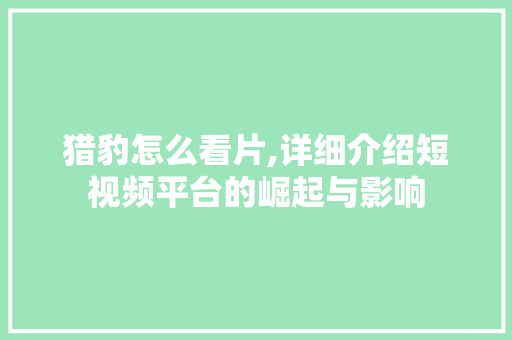 猎豹怎么看片,详细介绍短视频平台的崛起与影响