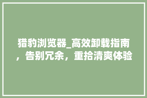 猎豹浏览器_高效卸载指南，告别冗余，重拾清爽体验