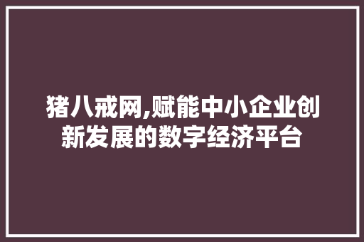 猪八戒网,赋能中小企业创新发展的数字经济平台