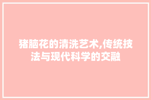 猪脑花的清洗艺术,传统技法与现代科学的交融