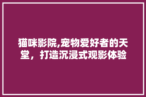 猫咪影院,宠物爱好者的天堂，打造沉浸式观影体验
