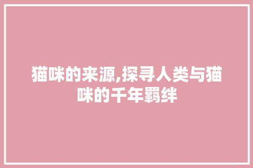 猫咪的来源,探寻人类与猫咪的千年羁绊
