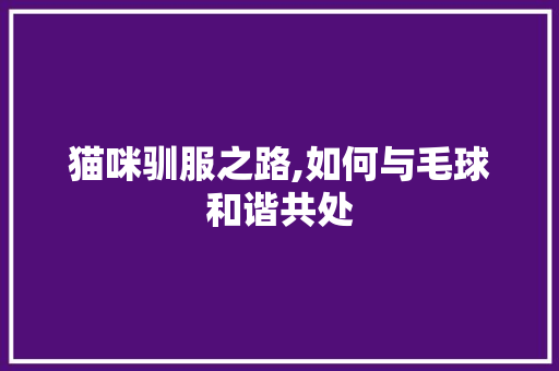 猫咪驯服之路,如何与毛球和谐共处