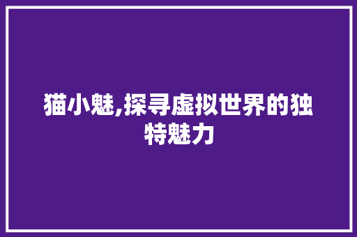 猫小魅,探寻虚拟世界的独特魅力