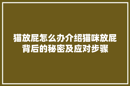 猫放屁怎么办介绍猫咪放屁背后的秘密及应对步骤
