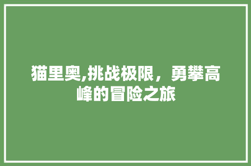 猫里奥,挑战极限，勇攀高峰的冒险之旅