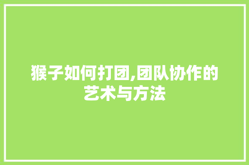 猴子如何打团,团队协作的艺术与方法