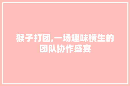 猴子打团,一场趣味横生的团队协作盛宴