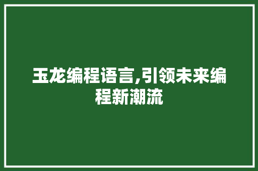 玉龙编程语言,引领未来编程新潮流