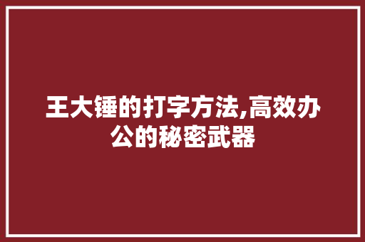 王大锤的打字方法,高效办公的秘密武器