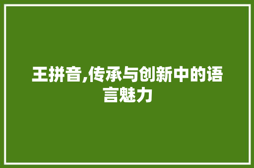 王拼音,传承与创新中的语言魅力