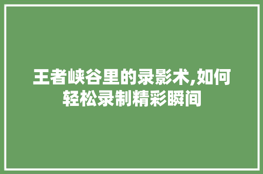 王者峡谷里的录影术,如何轻松录制精彩瞬间