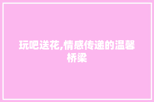 玩吧送花,情感传递的温馨桥梁