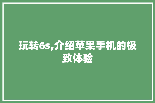 玩转6s,介绍苹果手机的极致体验