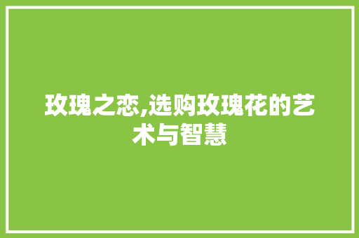 玫瑰之恋,选购玫瑰花的艺术与智慧
