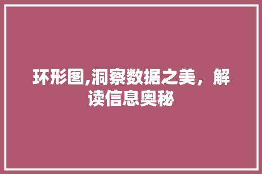 环形图,洞察数据之美，解读信息奥秘