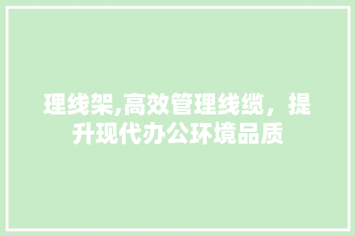 理线架,高效管理线缆，提升现代办公环境品质