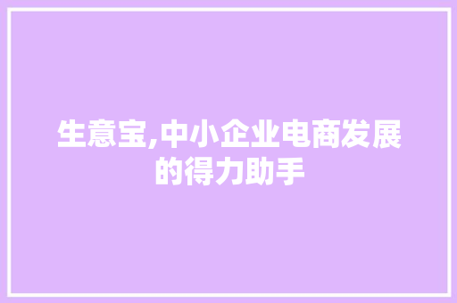 生意宝,中小企业电商发展的得力助手