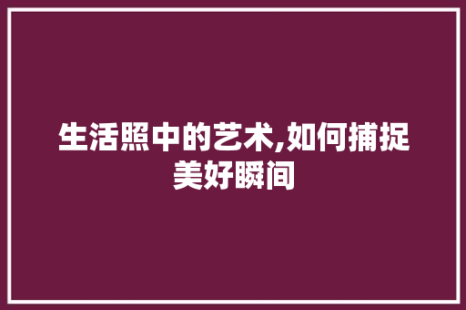 生活照中的艺术,如何捕捉美好瞬间