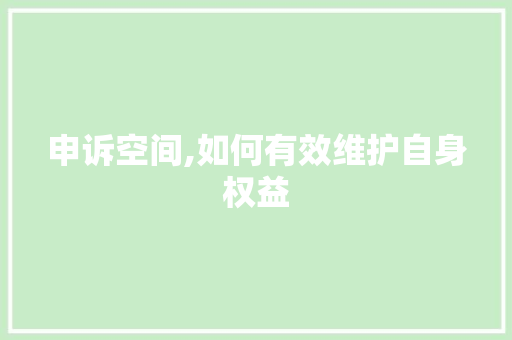 申诉空间,如何有效维护自身权益