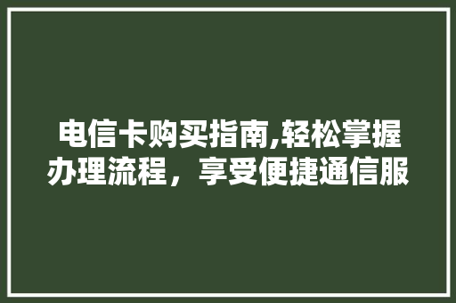 电信卡购买指南,轻松掌握办理流程，享受便捷通信服务
