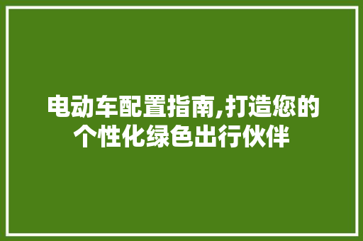 电动车配置指南,打造您的个性化绿色出行伙伴