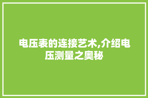 电压表的连接艺术,介绍电压测量之奥秘
