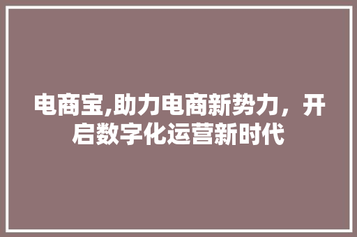 电商宝,助力电商新势力，开启数字化运营新时代
