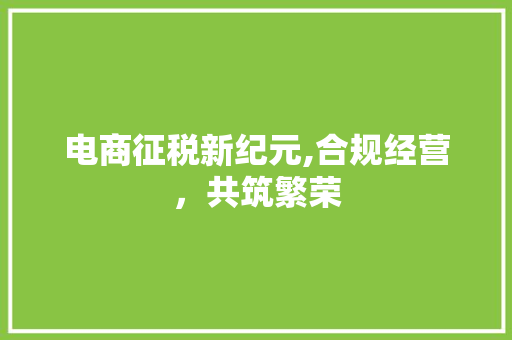电商征税新纪元,合规经营，共筑繁荣