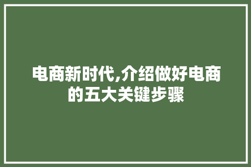 电商新时代,介绍做好电商的五大关键步骤