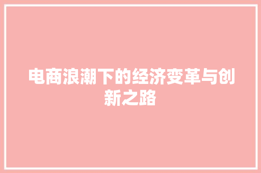 电商浪潮下的经济变革与创新之路