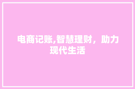 电商记账,智慧理财，助力现代生活