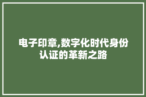 电子印章,数字化时代身份认证的革新之路