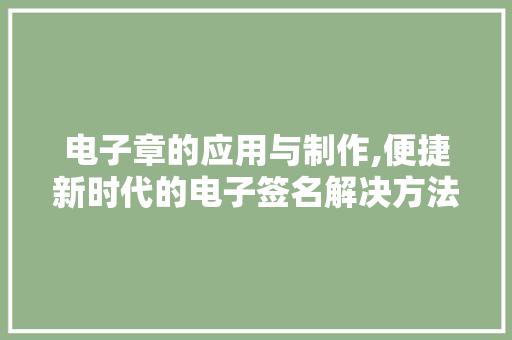 电子章的应用与制作,便捷新时代的电子签名解决方法