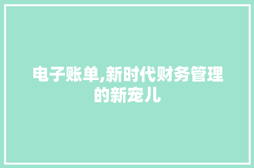 电子账单,新时代财务管理的新宠儿