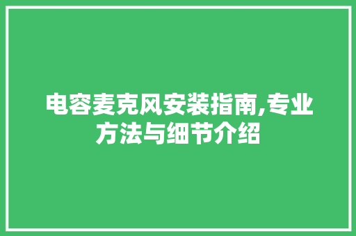 电容麦克风安装指南,专业方法与细节介绍