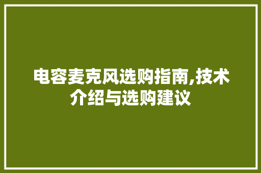 电容麦克风选购指南,技术介绍与选购建议
