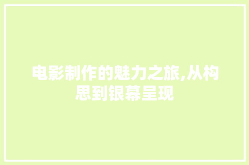 电影制作的魅力之旅,从构思到银幕呈现