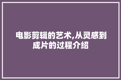 电影剪辑的艺术,从灵感到成片的过程介绍