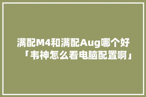 满配M4和满配Aug哪个好「韦神怎么看电脑配置啊」