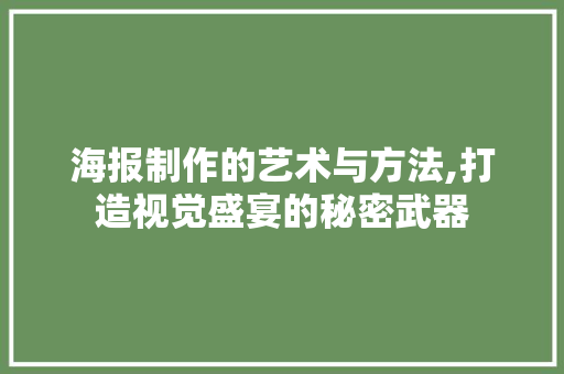 海报制作的艺术与方法,打造视觉盛宴的秘密武器 操作系统