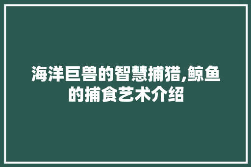 海洋巨兽的智慧捕猎,鲸鱼的捕食艺术介绍 电脑配置
