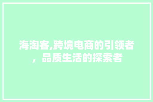 海淘客,跨境电商的引领者，品质生活的探索者 编程语言