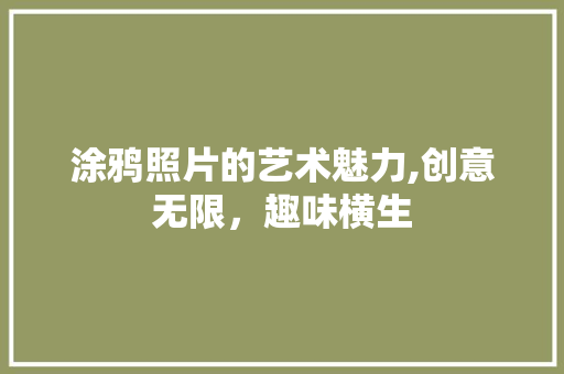 涂鸦照片的艺术魅力,创意无限，趣味横生 编程语言