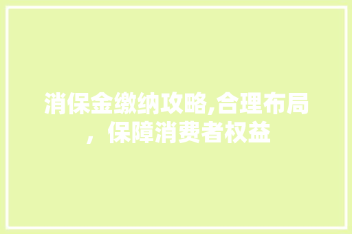 消保金缴纳攻略,合理布局，保障消费者权益 电脑配置