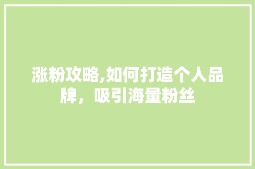涨粉攻略,如何打造个人品牌，吸引海量粉丝 编程语言