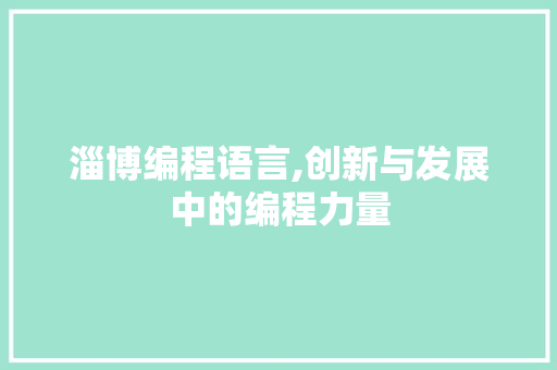 淄博编程语言,创新与发展中的编程力量 电脑配置