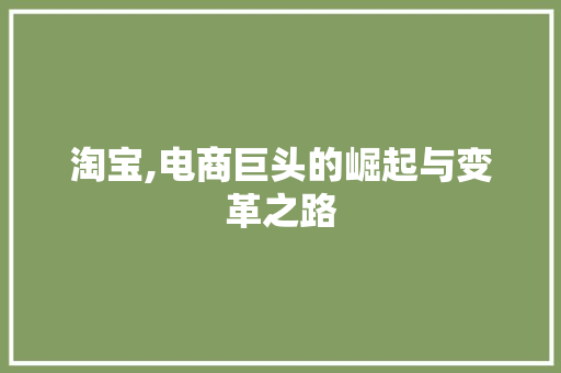淘宝,电商巨头的崛起与变革之路 操作系统 淘宝,电商巨头的崛起与变革之路 操作系统