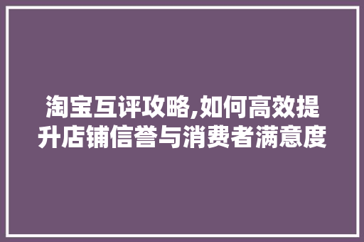 淘宝互评攻略,如何高效提升店铺信誉与消费者满意度 电脑基础