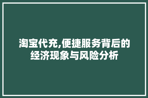 淘宝代充,便捷服务背后的经济现象与风险分析 操作系统
